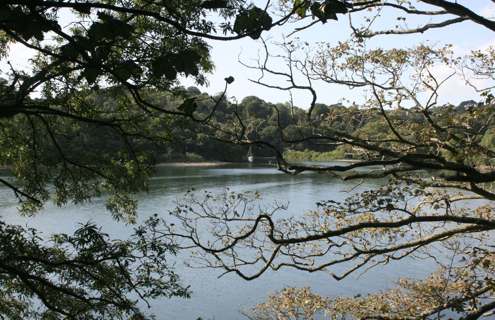 Photo of view at Trelissick, Cornwall (_MG_0066ab.jpg)